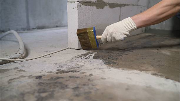 SJ Waterproofing Pros Waterproofing coverage map for Freedom, NY and surrounding area